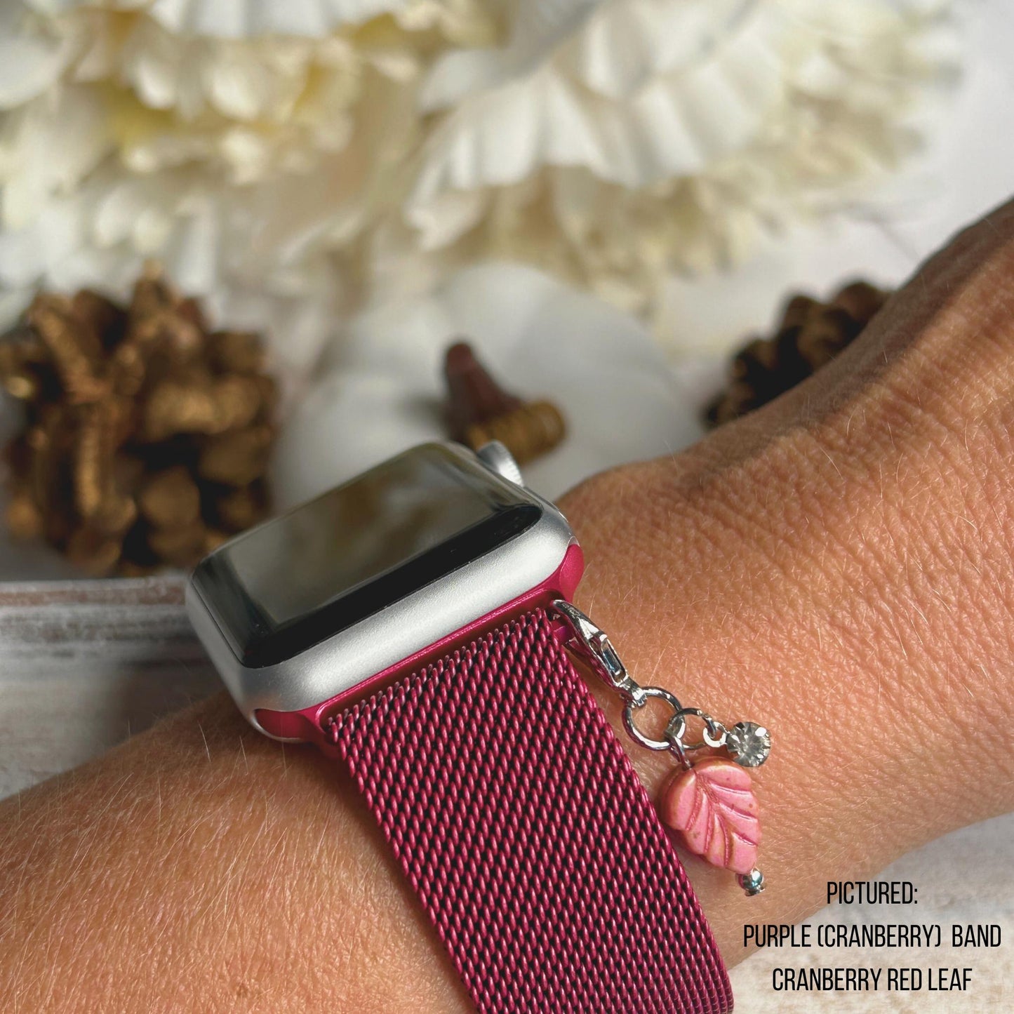 Fall Apple Watchband and Charm Set for Apple Watches, Halloween Watchbands, Fall Watchbands, Autumn Watchbands, Size 38/40/41